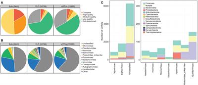 Alterations of the gut virome in patients with systemic lupus erythematosus